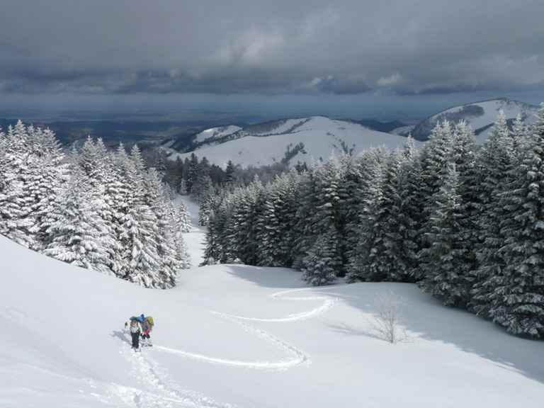 Pyrénées neige forêt