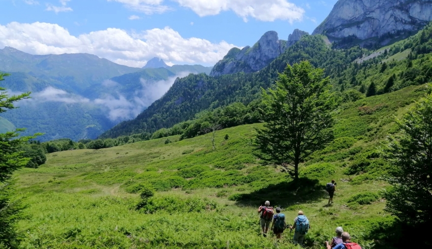 Vallee-Aspe---Patxi-Caliot.jpg