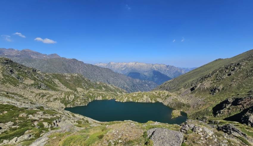 pyrenees-ariegeoises.jpg