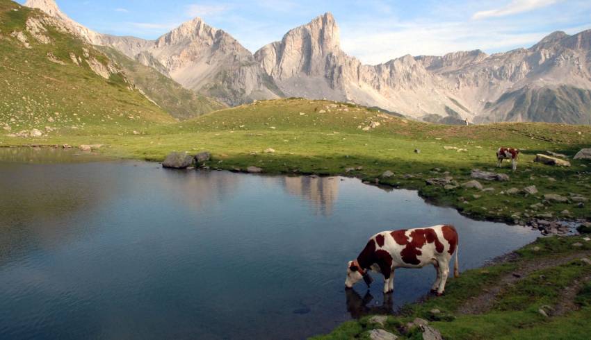 rando-guidee-ansabere.jpg