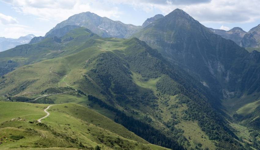 col-d-azet-.jpg