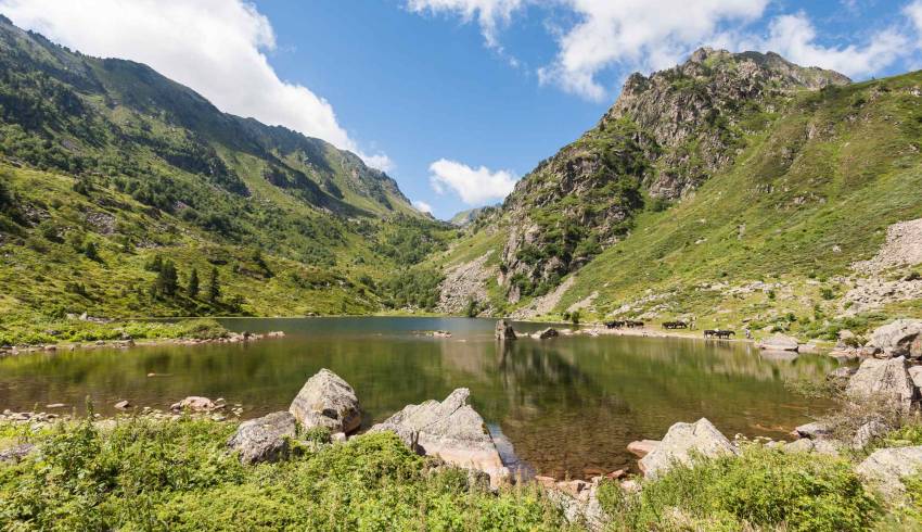 rando-etang-de-comte.jpg