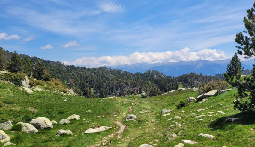 plateau-cerdagne.jpg