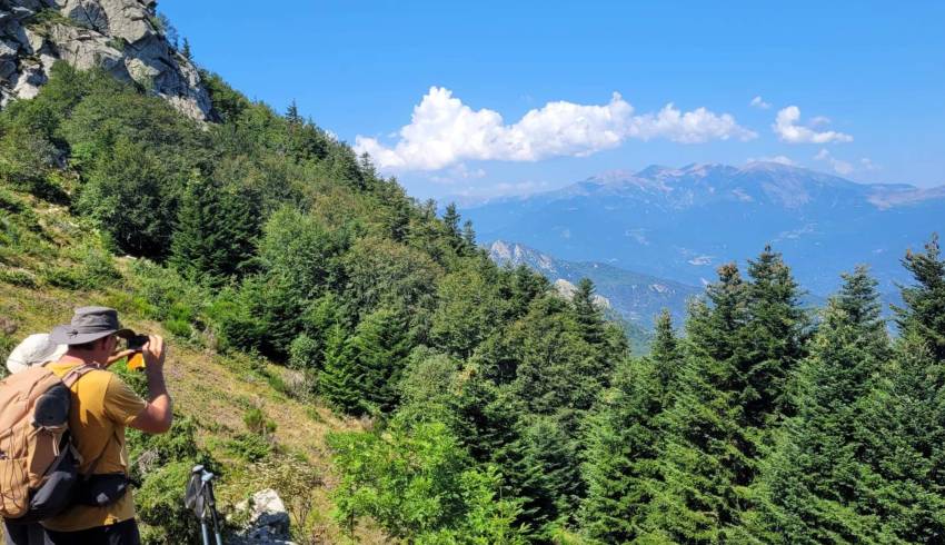 rando-pyrenees-catalanes.jpg