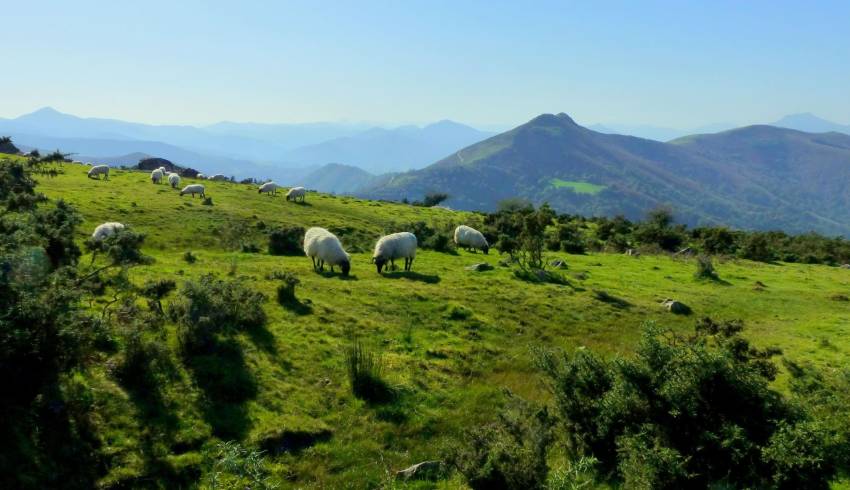 Pays-basque-en-VTT.jpg