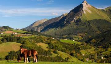 randonnee-guidee-pays-basque-espagnol.jpg