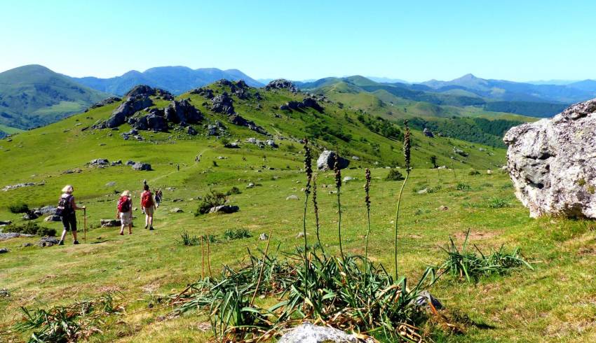 Terroirs-pays-basque-rando-trek.JPG