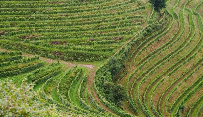 sejour-pays-basque.jpg