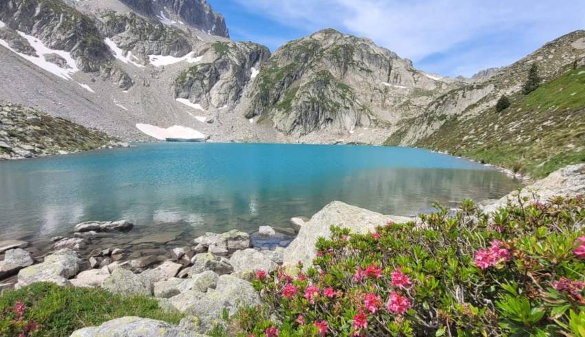 lac-ariel.jpg