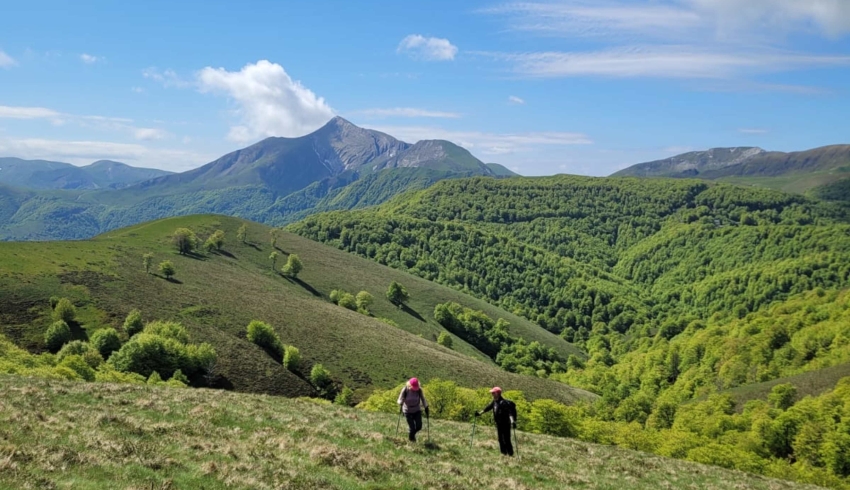 pays-basque.jpg