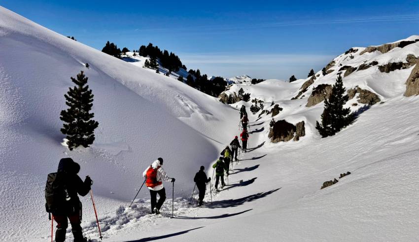 rando-raquette-pays-basque.jpg