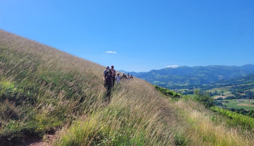 randonnee-pays-basque-en-famille.jpg