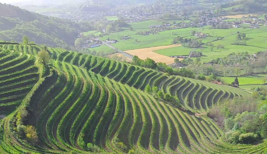 terroir-du-pays-basque.jpg