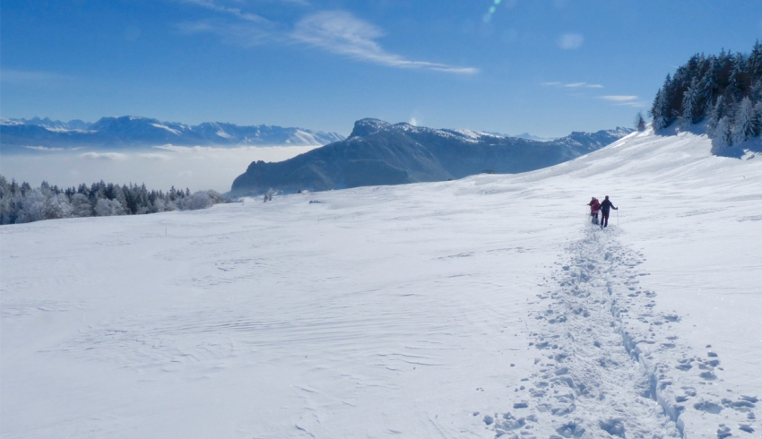 randonnee_raquettes_Vercors_Alpes.jpg