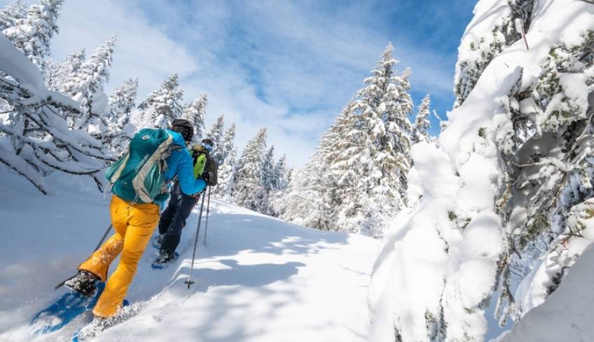 randonnee_raquettes_vercors_5_jours.jpg