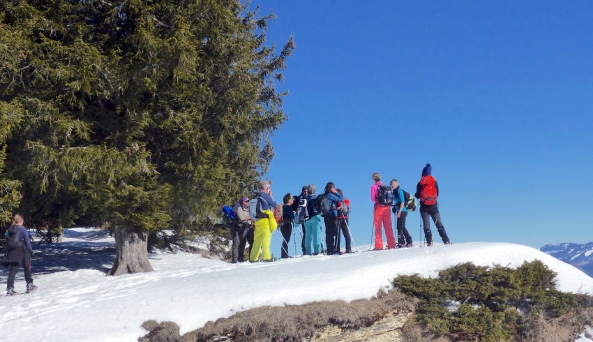 raquettes_neige_Vercors_Alpes.jpg