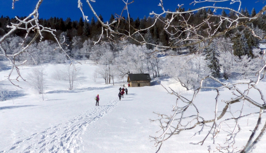 raquettes_neige_gite_Alpes.jpg