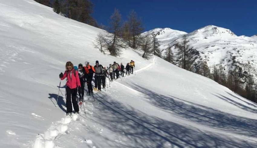 randos-raquette-nevache-buffere.jpg