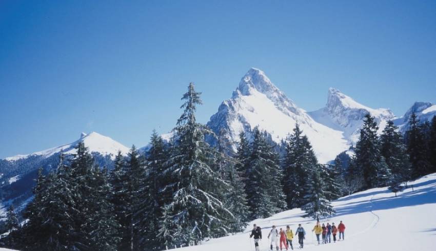 raquettes-en-haute-savoie.jpg