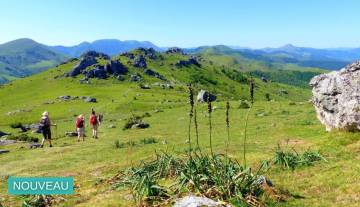 nouveau-sejour-pays-basque.jpg