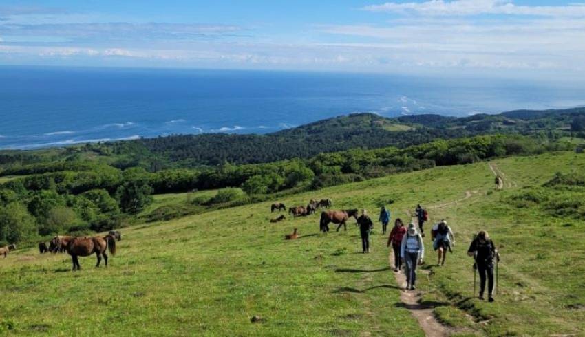 randonnee-facile-en-pays-basque.jpg