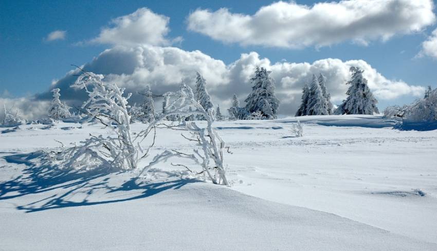 Randos-Lac-Blanc-gazon-du-faing.jpg